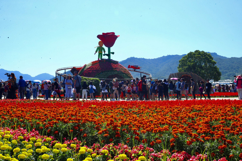 GO GO台湾 -2019台中國際花毯節、新社花海節など台中を中心とする観光情報の紹介