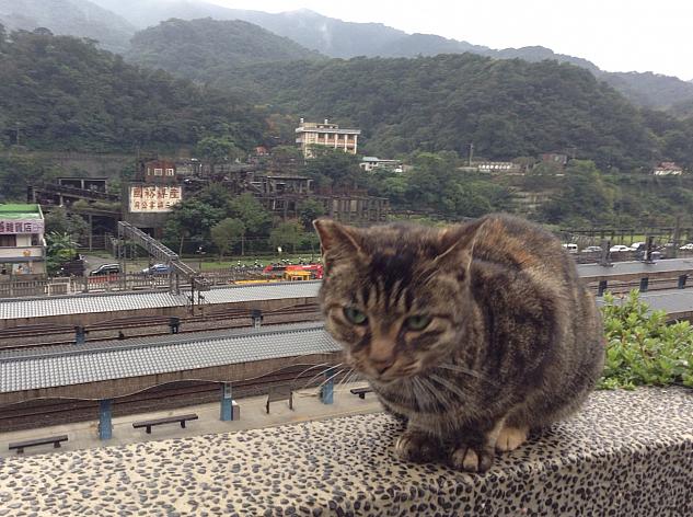 GO GO台湾 - 2020-10-03_猴硐の「猫村」と「猴硐煤礦博物園區」