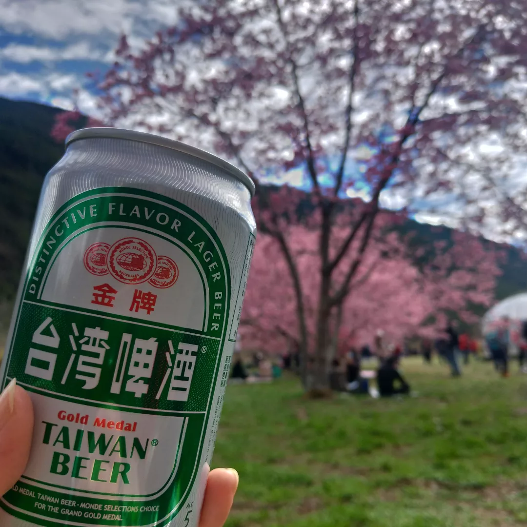GO GO台湾 - 2022-02-19_台中「武陵農場」桜のシーズン