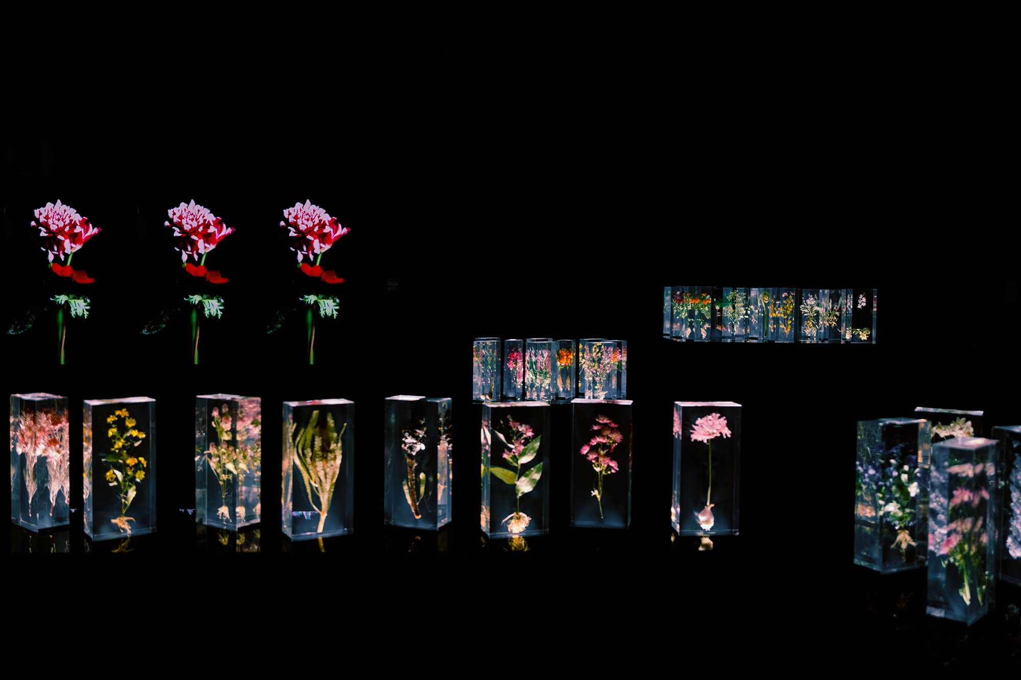 ナルワンアワー（月曜日） - 2023-05-01-日本のフラワーアーティスト‧東信、「東信展：繁花．時敘」台湾初個展開催