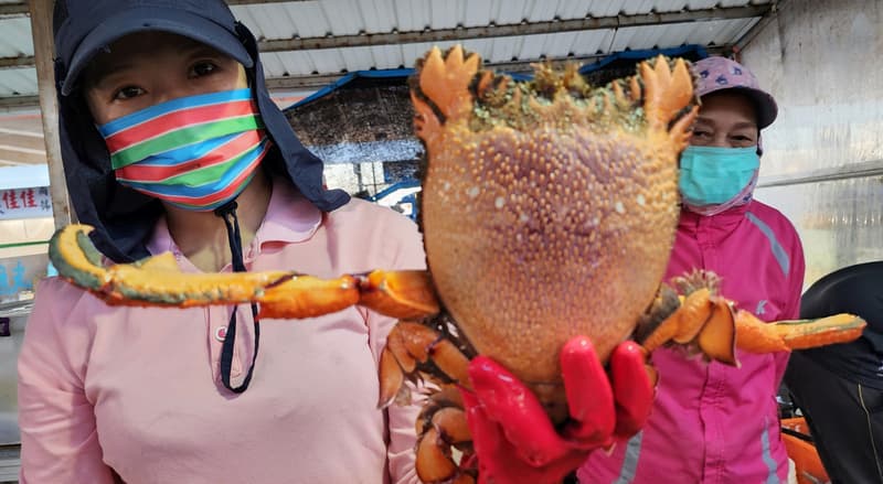 （月）こんにちは、台湾 - 2023-05-22