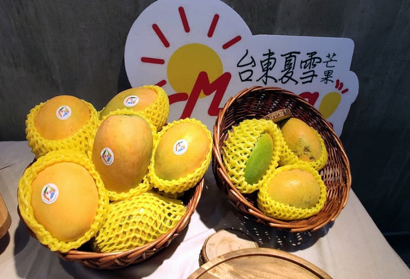 （火）こんにちは、台湾 - 2023-06-13