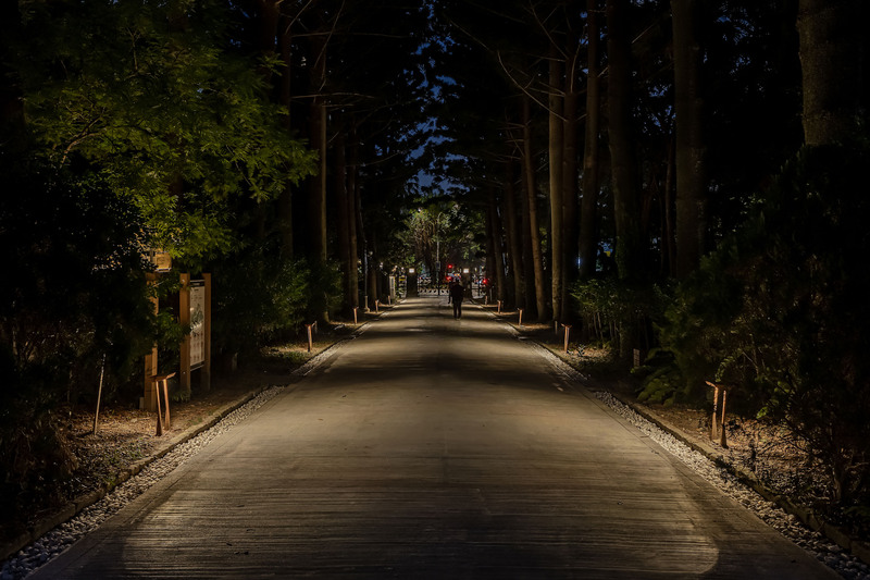 きょうのキーワード（金曜日） - 2023-06-09_植光歩道