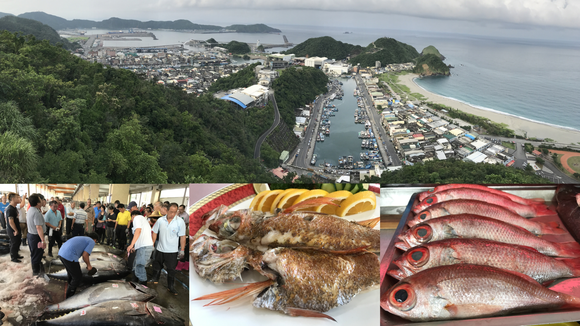 馬場克樹の「とっても台湾」（爸爸桑的「非常台灣」） - 2023-07-02-南方澳に幻の魚「ノドグロ」を求めて