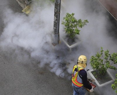 疾管署、デング熱で高雄に専門家諮問チーム