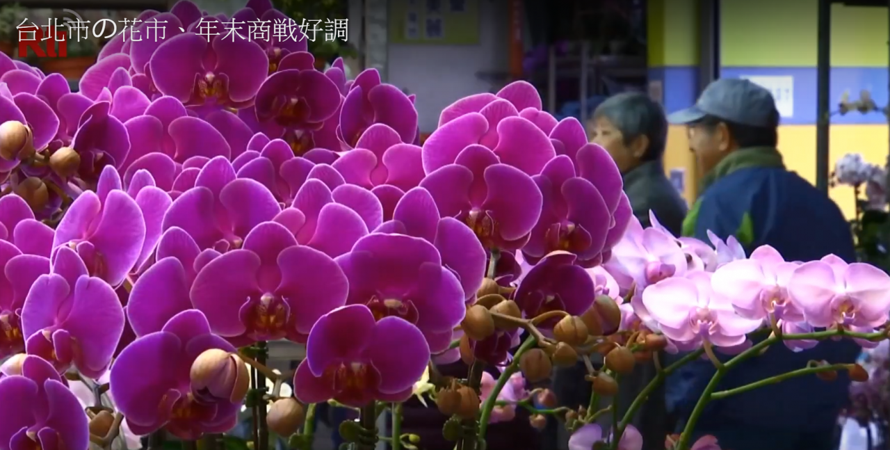 台北市の花市、旧暦年末商戦好調