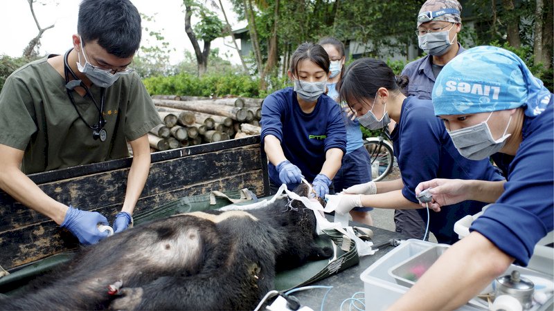 台湾東部 初の野生動物救護センター設置 ニュース Rti 台湾国際放送