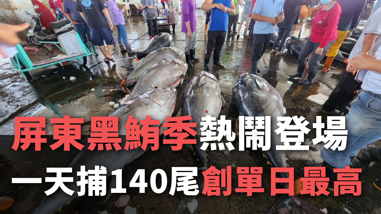 屏東クロマグロ文化観光祭開催！一日だけで140本「過去最高」
